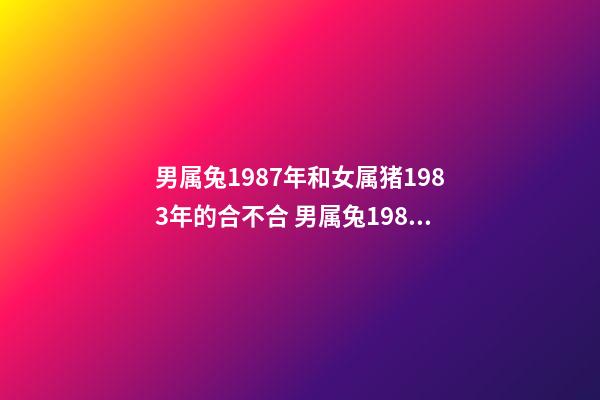 男属兔1987年和女属猪1983年的合不合 男属兔1987年和女属猪1983年的合不合？-第1张-观点-玄机派